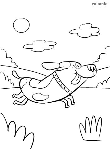 dogs coloring pages  printable dog coloring sheets