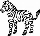 Zebra sketch template