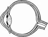 Mata Eyeball Auge Optik Openclipart Lup Wiring Tahu Mikroskop Teropong Webstockreview Menyerang Cari Sini Penyakit Yuk Kornea Auges Transparent Onlinelabels sketch template