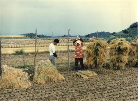 japanese farming culturally central  economically marginal