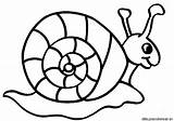 Caracoles Caracol Snail Colorir Animais Escargot Snails Caracois Printable Facil sketch template