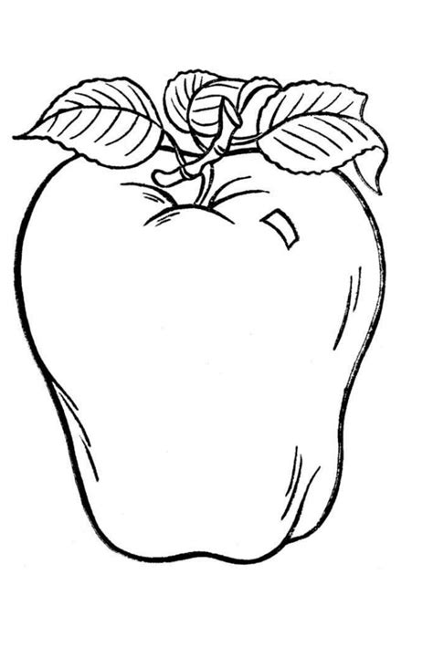 apple coloring page  kids apple coloring pages fruit coloring