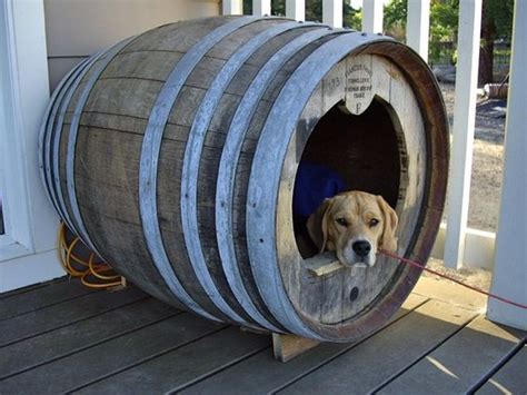 beds  dogs   recycled wooden barrels upcycle art
