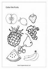 Fruit Megaworkbook Miscellaneous sketch template