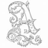Illuminated Letters Alphabet Coloring Pages Adult Lettering Adults sketch template