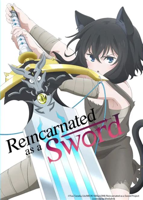 reincarnated   sword  cbr