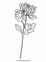 Crisantemo Stilizzati Sagome Disegnidacolorare sketch template