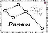 Constellation Kids Dolphin Constellations Teachersmag Delphinus Columba sketch template