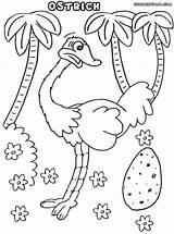 Ostrich Coloring Pages Egg Colorings Print sketch template
