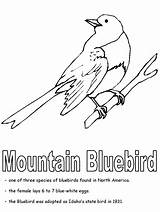 Coloring Pages Bird Bluebird Blue State Idaho Mountain Gif Nevada Birds Printable Missouri Children Mountains Activities Kidzone Ws  Geography sketch template