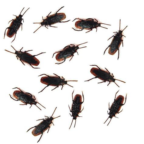 One Dozen 12 Fake Roaches High Quality Prank Novelty