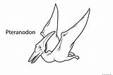 Pteranodon Freekidscoloringpage Dinosaurios Brontosaurus sketch template