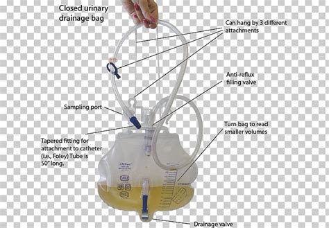 urine collection device foley catheter urinary catheterization png clipart angle bag
