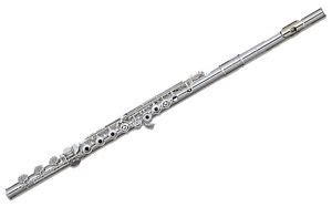 flutes buying guide ebay