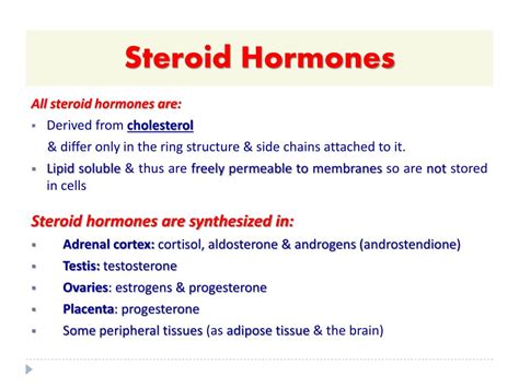 Ppt Steroid Hormones Powerpoint Presentation Free Download Id 6410063