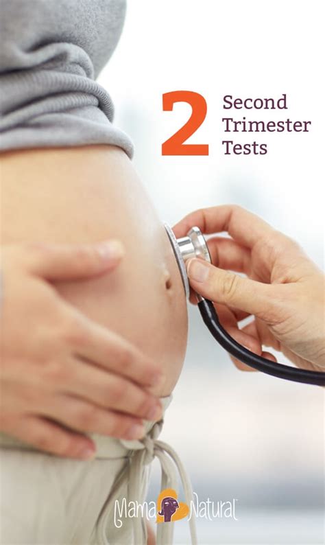 Second Trimester Tests During Pregnancy Mama Natural