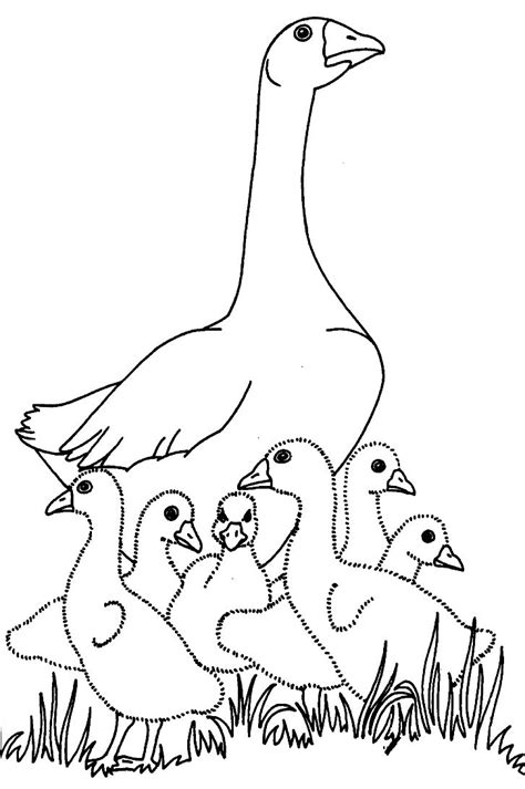 charlottes web coloring pages geese coloring pages