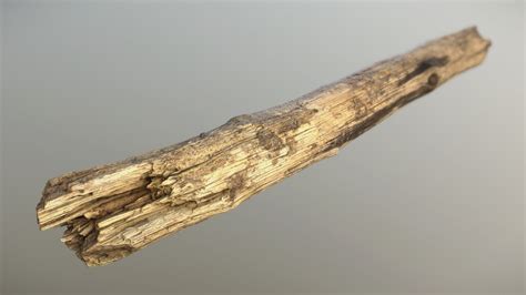 wood stick     model  dhdscan eaad sketchfab