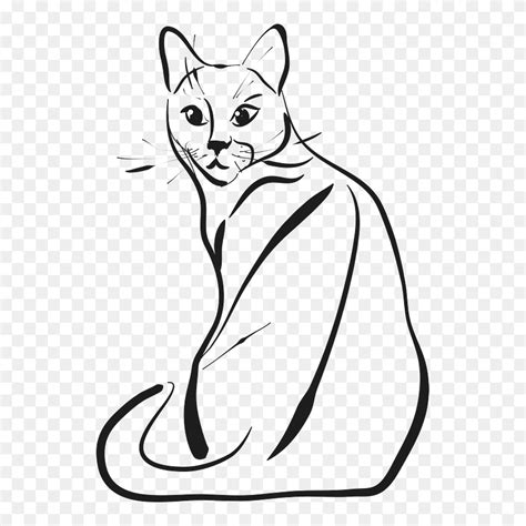 drawn cat clipart facil dibujos de gatos  lapiz png   pinclipart