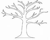 Tree Outline Clipart Clip Cliparts Library Branches Coloring sketch template