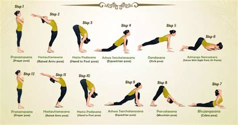 step  step guide  flow  surya namaskar finess yoga