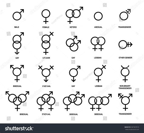 vector outlines icons gender symbols stock vector 587407019 shutterstock