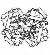 Coloring Hemoglobin Machinery Molecular Learn Book sketch template