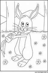 Hase Malvorlage Hasen Ausmalen Ausmalbild Komputer Ando sketch template