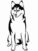 Husky Coloring Printable Pages Getcolorings Puppy sketch template