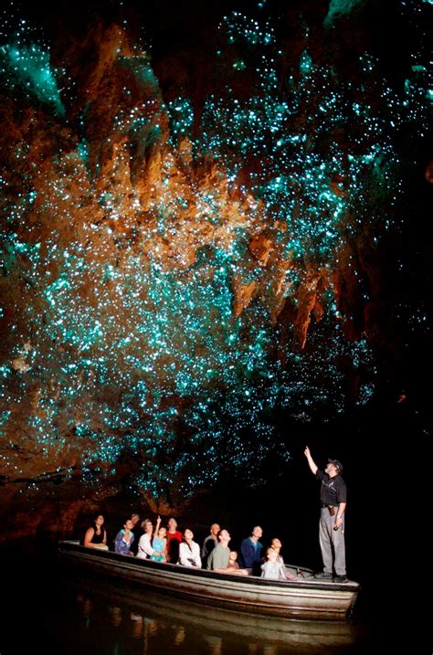 visit glowworm cave  zealand  world stuff