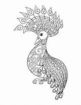 Coloring Pages Bird Advanced Adult Kidspressmagazine Zentangle Fantasy Adults Getdrawings Book Printable Mandala Getcolorings Illustartion Stress Now Peafowl Drawing Detailed sketch template