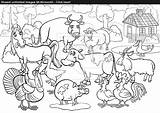 Coloring Book Stream Vector Excellent Awesome Farm Getdrawings Getcolorings Animals Pages sketch template