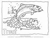 Trout Coloring Fish Rainbow Outline Pages Drawing Printable Color Water Animal Koi Kids Line Lake Clipart Goldfish Wildlife Forelle Adult sketch template