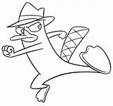 Platypus Perry Coloring Pages Phineas Ferb Drawing Trace Sketch Cartoon Drawings Print Printable Color Cool Kids Colouring Getcolorings Paintingvalley Disney sketch template