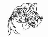 Koi Fish Coloring Outline Pages Drawing Getdrawings Clipartbest Part Online sketch template
