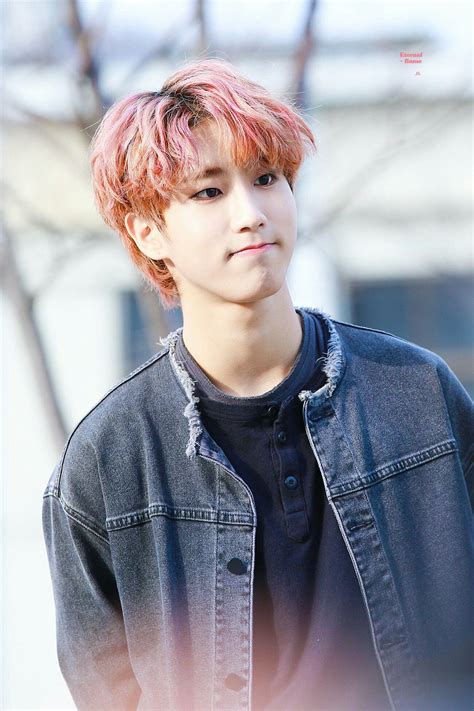 han jisung stray kids koreanische jungs jungs bilder