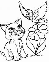 Coloring Cat Pages Large Color sketch template