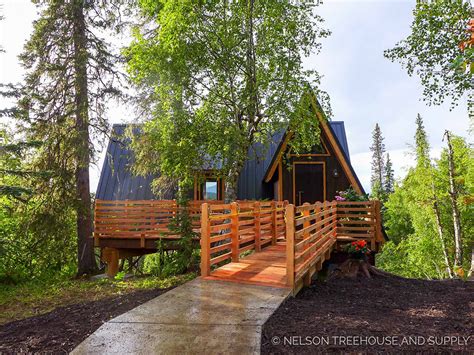 stunning treehouse sits nestled  alaskan wilderness  grid world