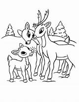 Coloring Reindeer Pages Rudolph Clarice Family Santa Girl Elephant Antlers Printable Proud Getcolorings Getdrawings Drawing Popular Color Print Coloringhome sketch template