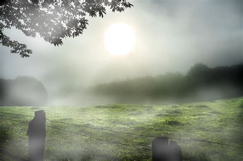 brouillard matinal photo  image divers la nature simplement