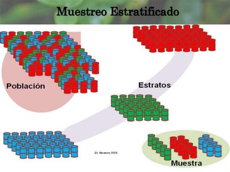 Tecnicas De Muestreo