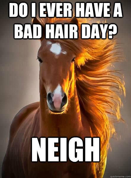 Do I Ever Have A Bad Hair Day Neigh Ridiculously