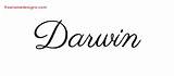 Darwin Name Tattoo Designs Classic Names Printable Freenamedesigns sketch template