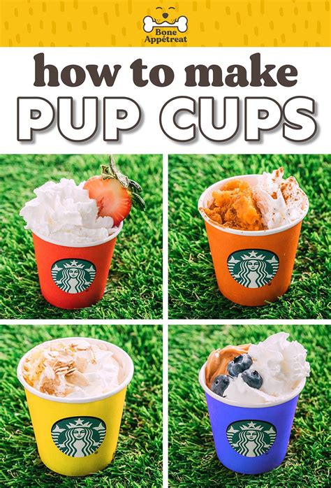 homemade puppuccino recipe pup cups  ways   easy dog treat recipes healthy dog