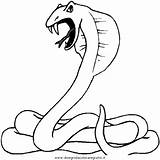 Schlangen Serpente Ausmalen Schlange Disegno Animali Malvorlage Serpenti Ausmalbild Kobra sketch template