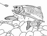 Trout Coloring Printable Pages Rainbow Drawing Fishing Fish Book Template Sheets Landscape Kids Adult Fly Drawings Patterns Books Adults Print sketch template
