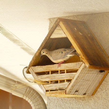 birdhouse  eave dove house bird houses nesting box