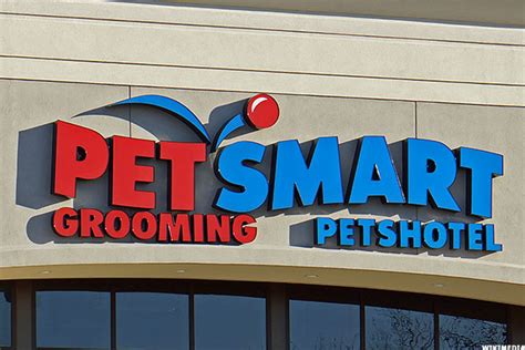 petsmart  buy chewys reputation  customer service thestreet