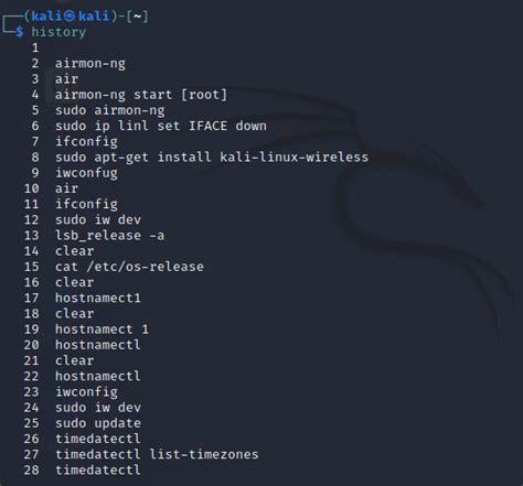Kali Linux Basic Command For Beginner Realtreat