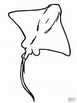Stingray Manta Sting Whiptail Ausmalbilder Pez Mantarrayas Rays Supercoloring Mantarraya Henna Crafts Graceful Imgkid Gaddynippercrayons Diver Coloringbay Raie Clipground sketch template